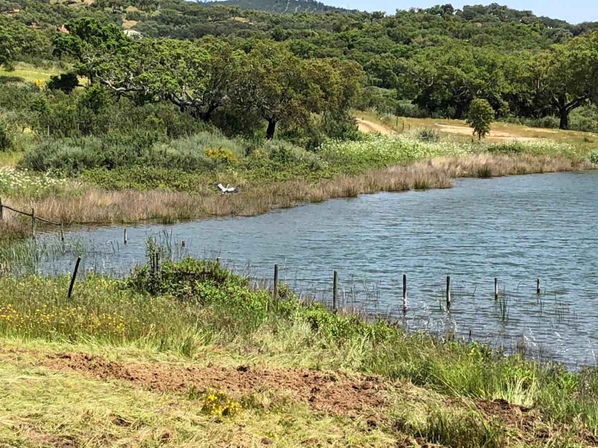 Fontes - A Essencia Do Alentejo Com Lago Privado Redondo Bagian luar foto