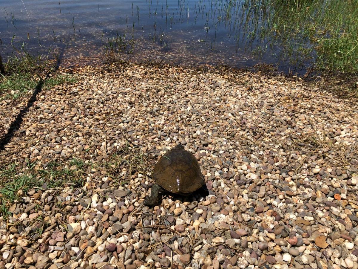 Fontes - A Essencia Do Alentejo Com Lago Privado Redondo Bagian luar foto